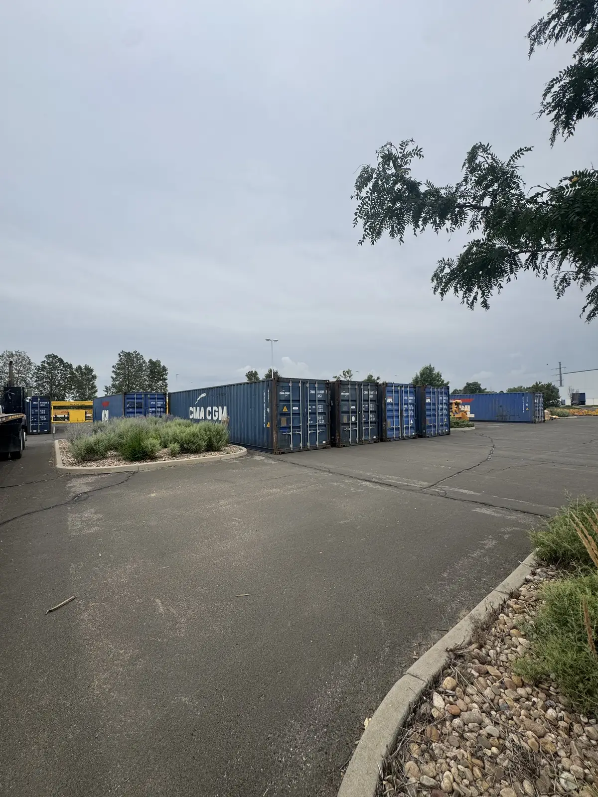Blue shipping containers lined up along a paved lot